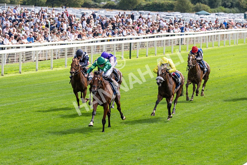 190826-Race 2-Haffner-0199 - Race 2 14.25pm Tattersalls Acomb Stakes