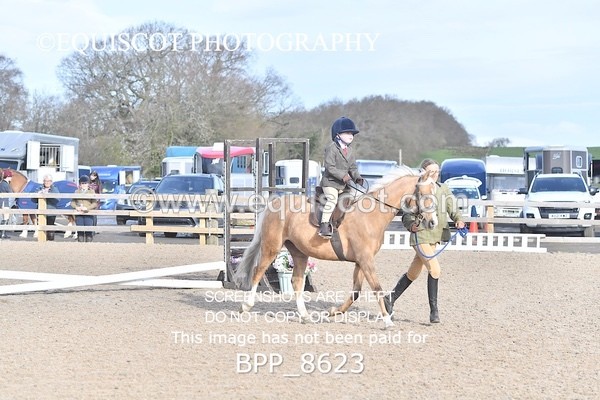 BPP_8623 - TRAINING STAKES