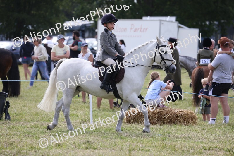 20260614-0791 - Class 20 - Beginners Working Hunter Pony