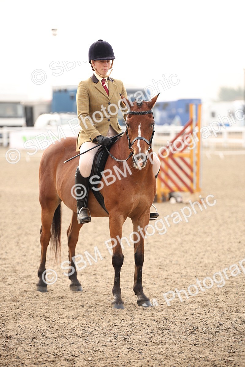SBM_09779 - Class 401 Riding Club Pony