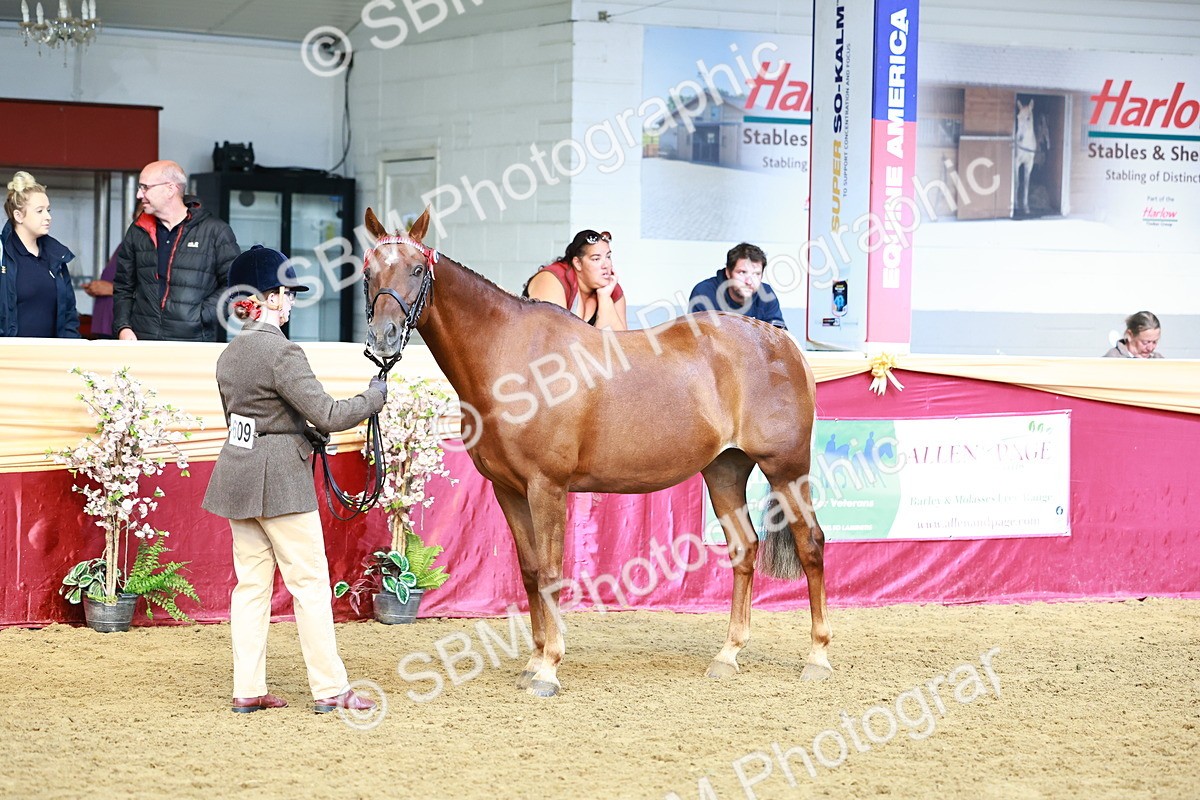 SBM_22354 - Class 902 - Supreme Final - IH Diamond