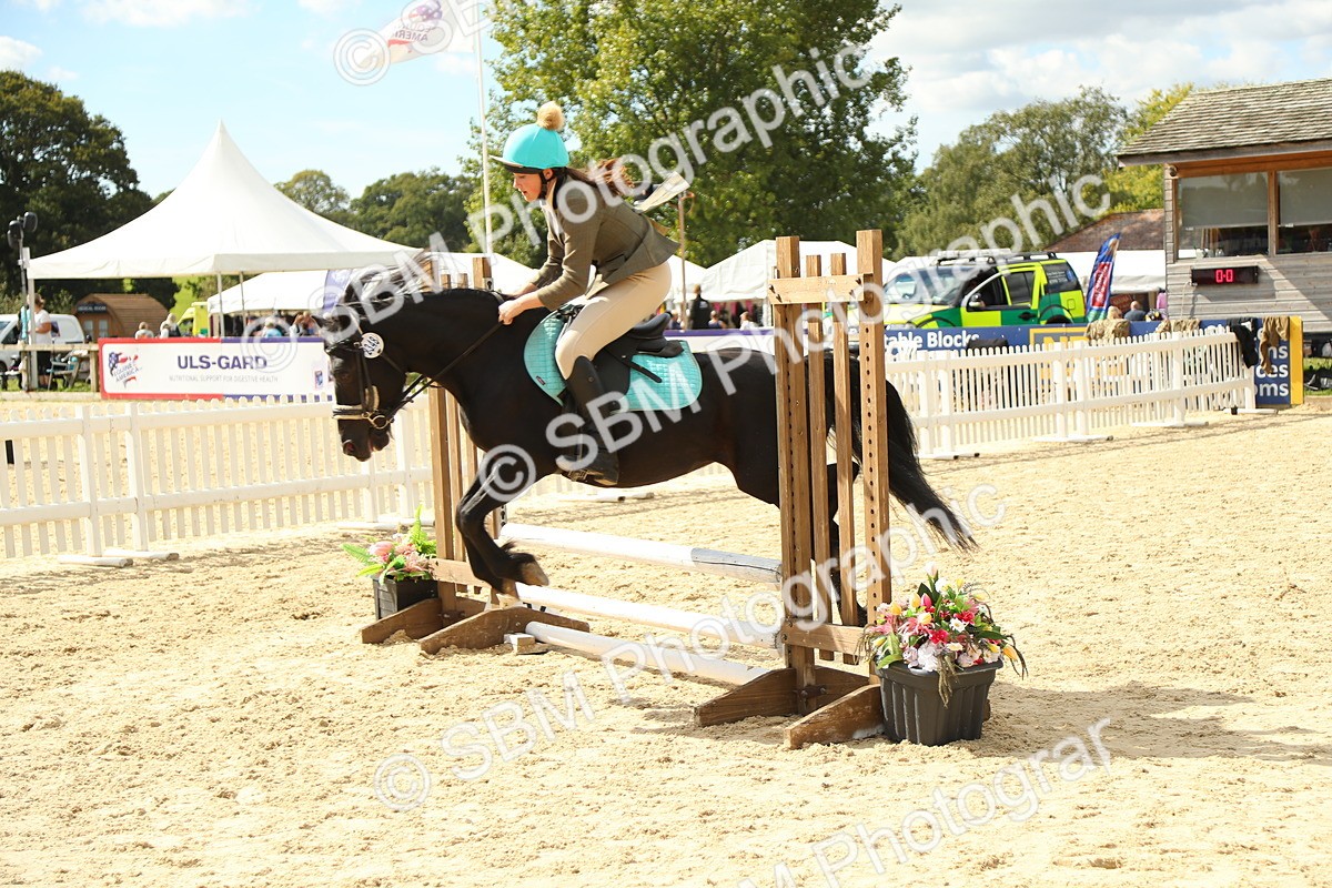 SBM_41322 - J6 - Junior Pony 55cm Championships