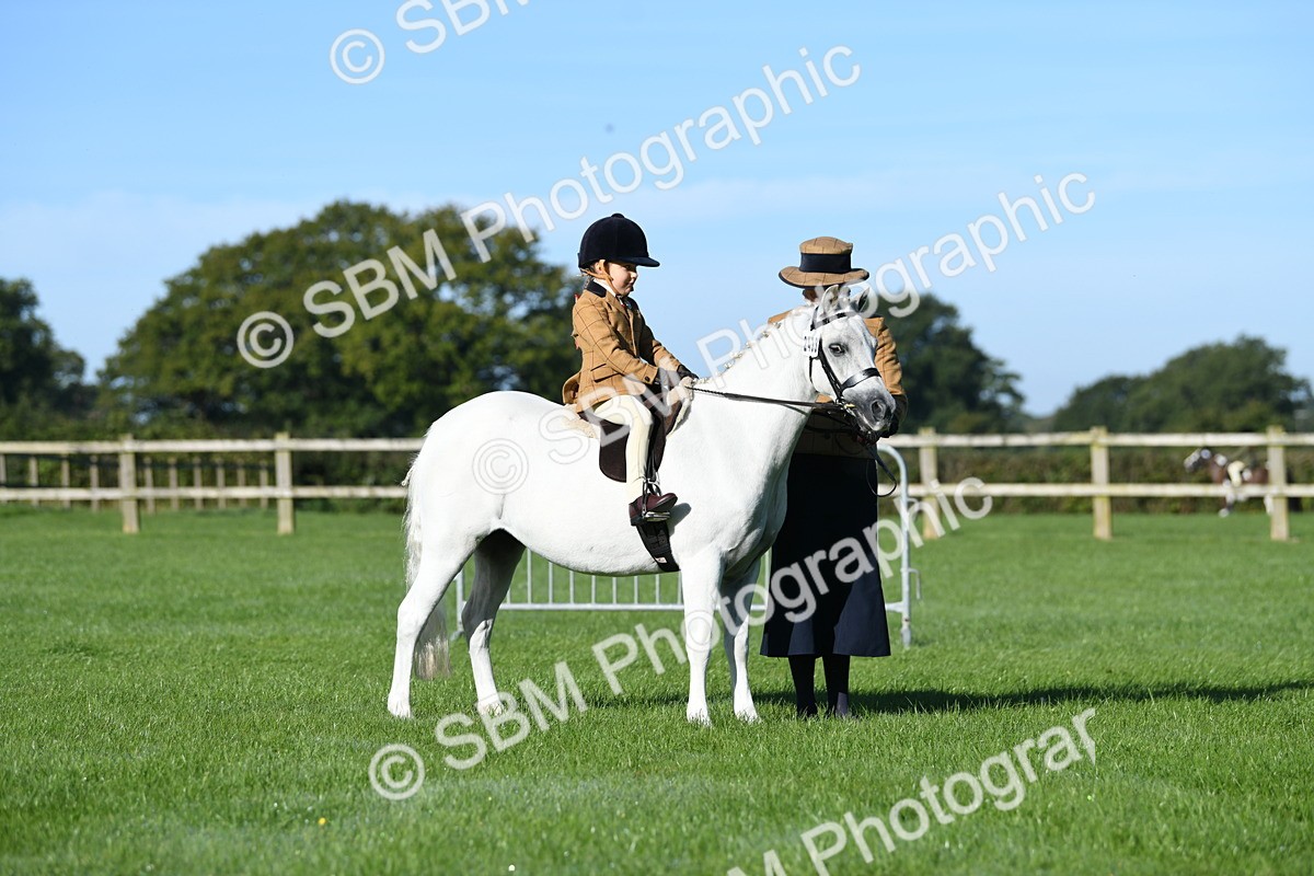 SBM_35371 - S17 - Condition & Turnout - Lead Rein
