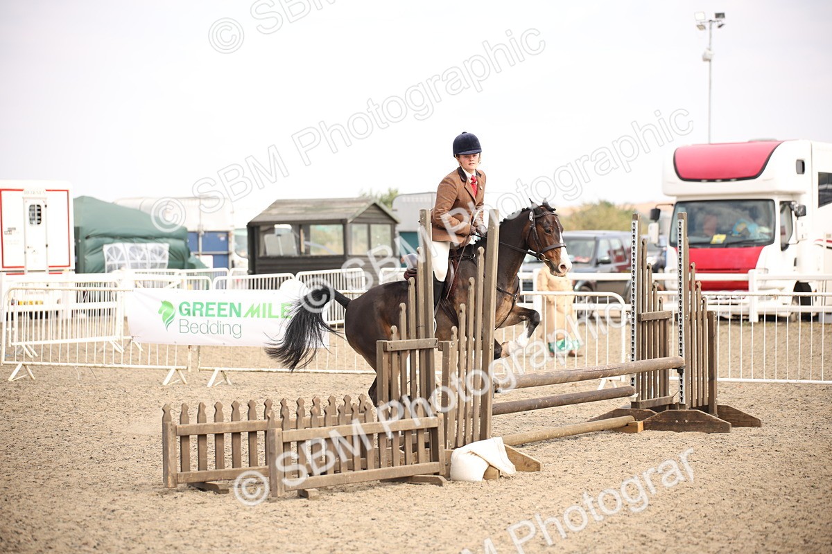 SBM_16077 - Class 408b - Working Veteran 70cm (20+)