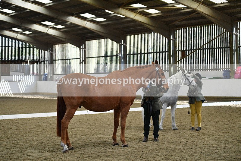 WJ5_4018 - Class 2 Best Condition In hand