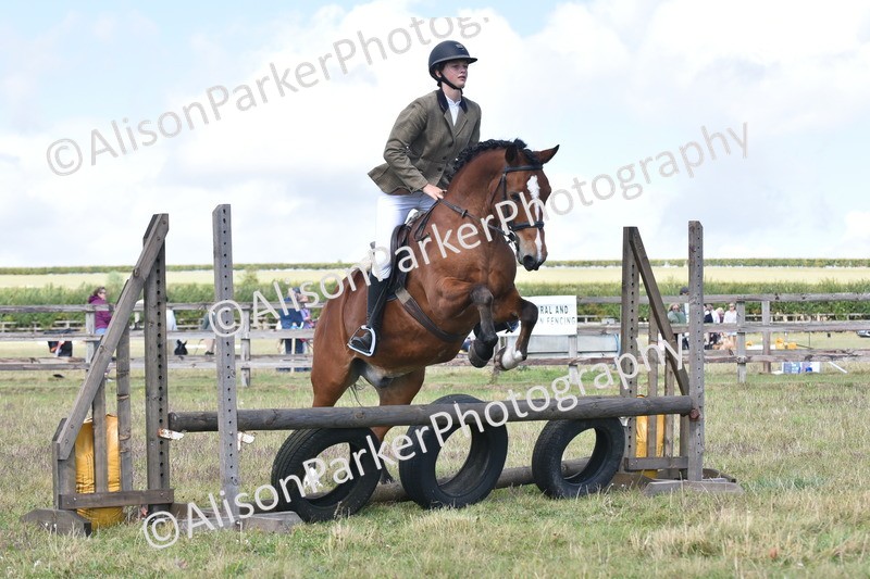 20250831-4018 - Class 12 - Working Hunter Pony 14.2hh and Under