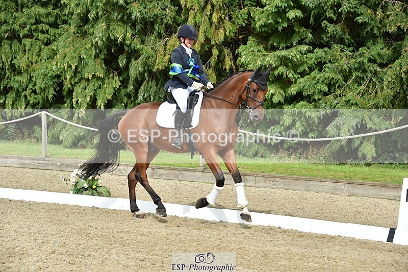 230812-160926-05434 - Novice Bronze Presentations