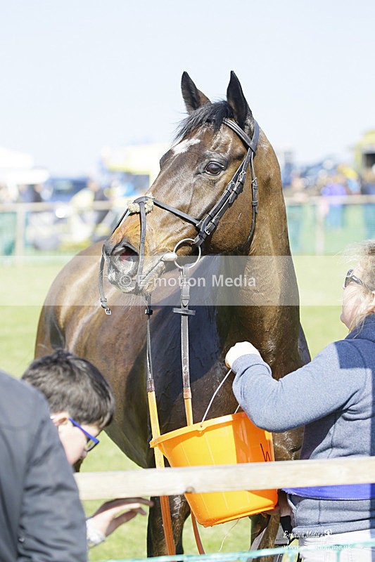 PtP 190322 254 - Wilton Hunt PtP Milborne St Andrew 19/03/22