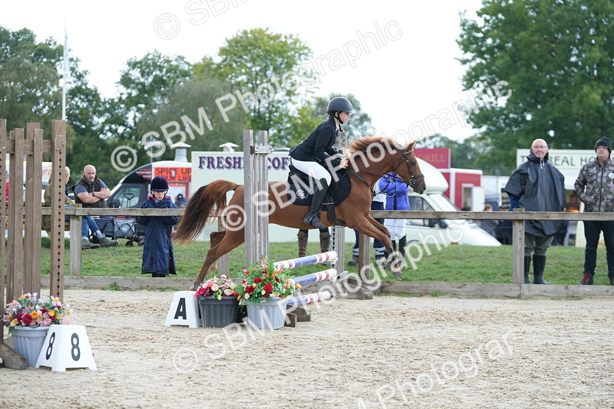 SBM_40011 - J6 - Junior Pony 55cm Championship