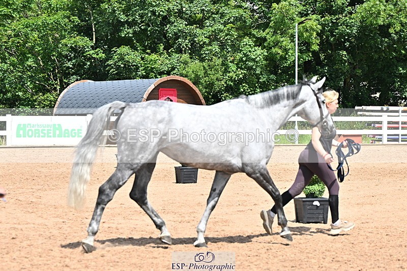 240718A-105311-01682 - Trot Up 1pm to 2pm