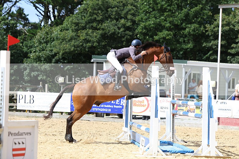 3E7A1644 - Class 13: Senior Newcomers/1.10m open