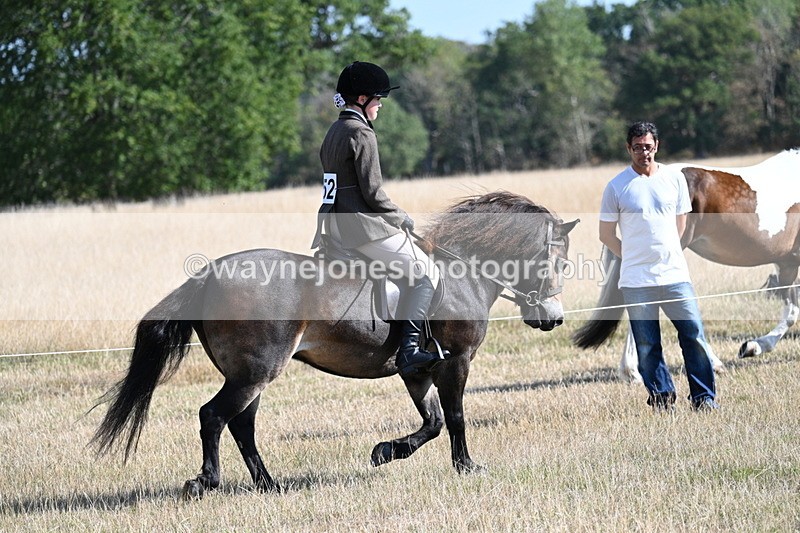WJ7_2915 - Class 8 Ridden Tack & Turnout