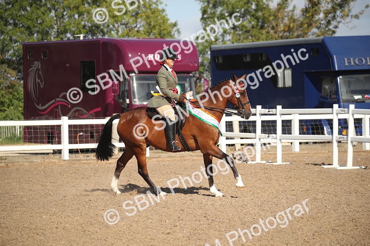 SBM_22747 - Class 601 - 2026 - Area - Ridden Diamond