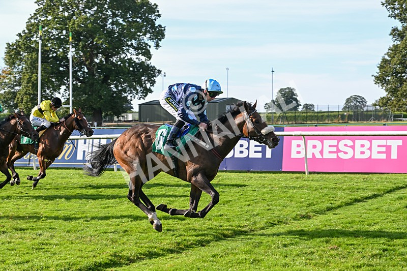 160924-Race 6-Count Palatine-3124 - Race 6