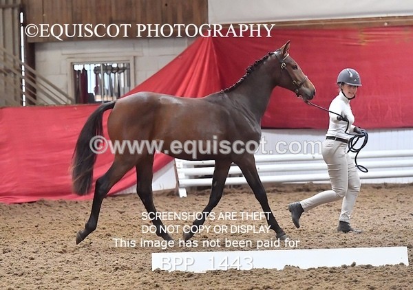 BPP_1443 - MORNING 9AM - 12PM