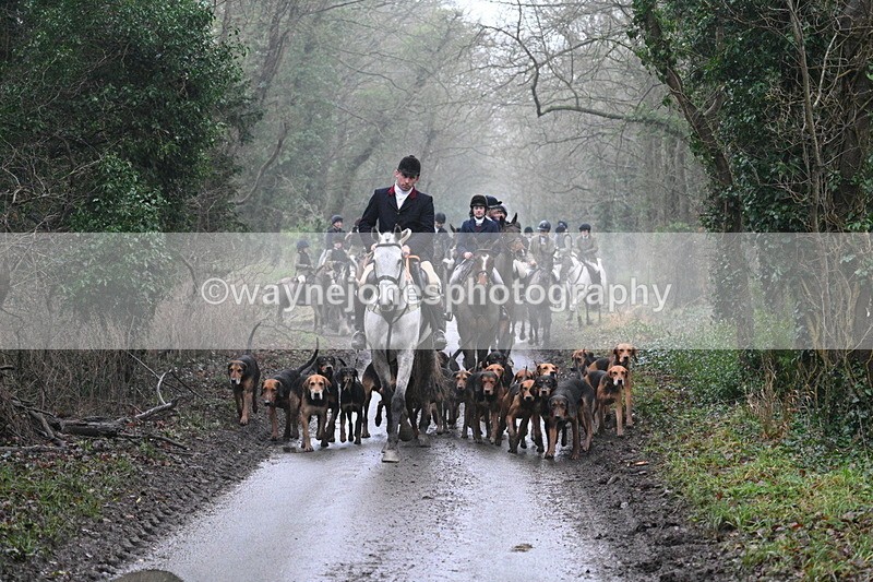 WJ7_3802 - In-between lines