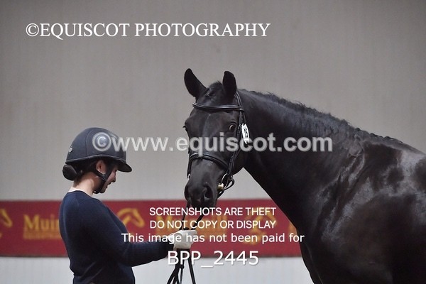 BPP_2445 - AFTERNOON 12.30 - 3.30PM