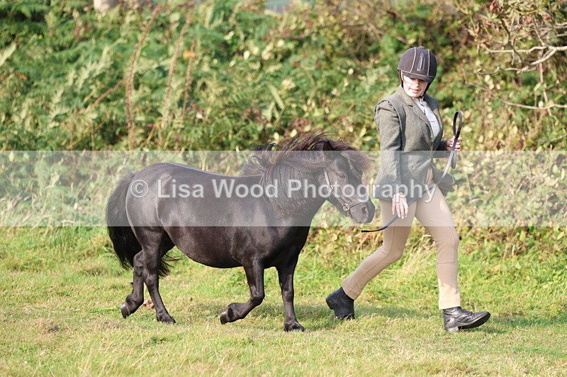 3E7A3182 - Class 12: M & M Small Breeds