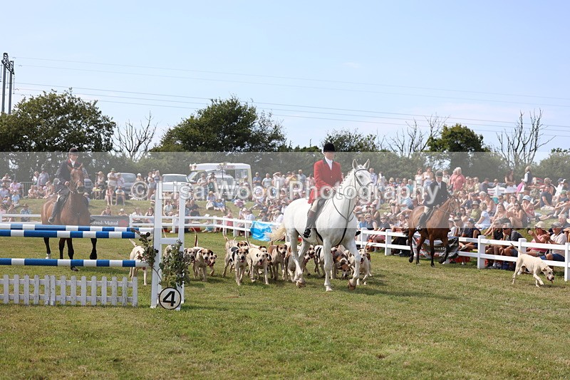 3E7A0132 - Parade of Hounds
