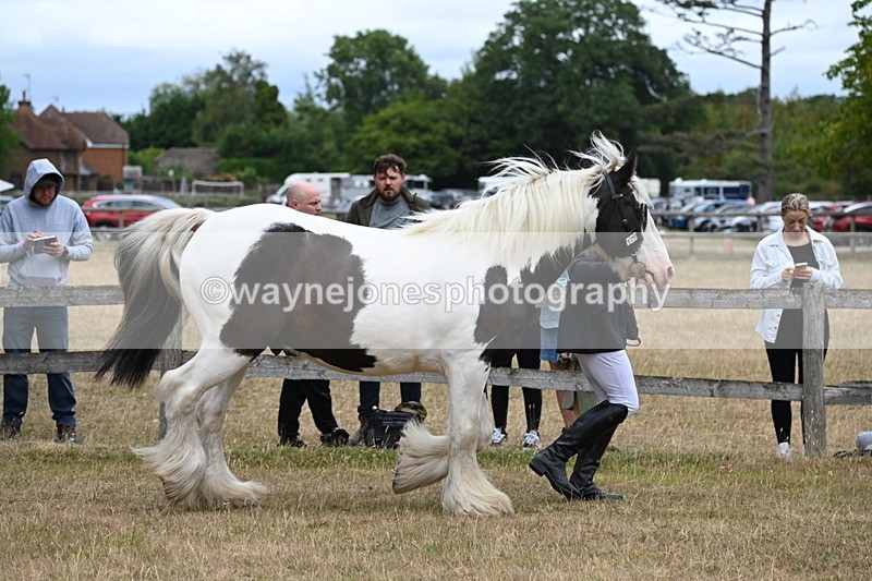 WJ6_8351 - Class 10 Coloured in Hand