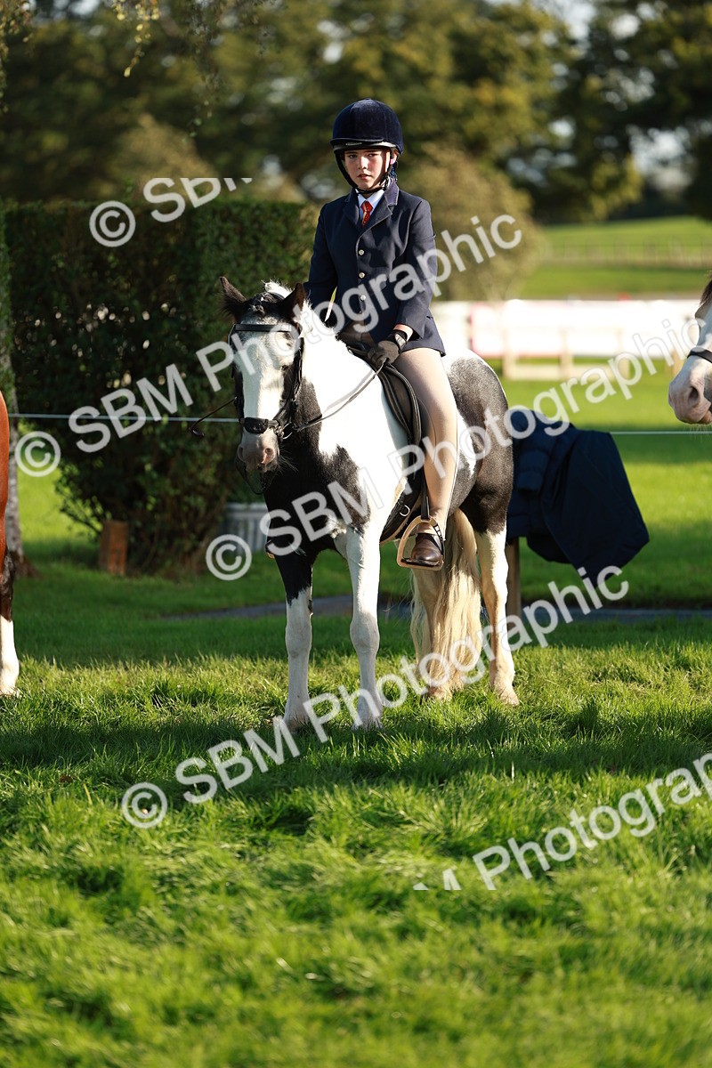 SBM_28777 - S7 - Novice & Newcomer Ridden Pony