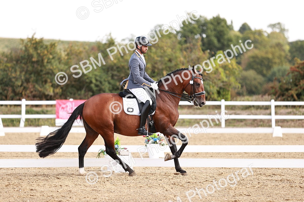 SBM_017602 - Class 11 - Advanced Medium 6