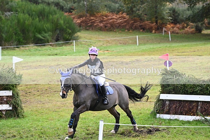 WJ6_1772 - 80cm Cam 1 Time 10:08 to 10:45