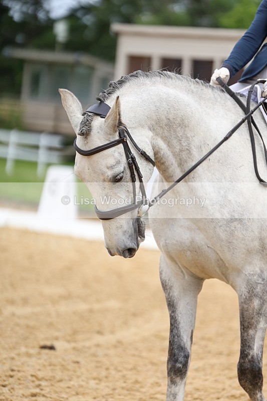 3E7A9277 - Class 2: Intro 1 2024 Section B