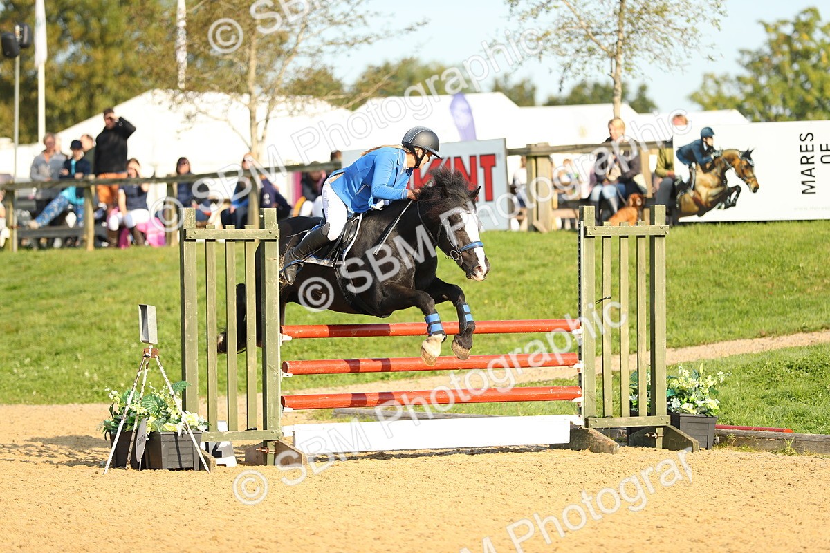 SBM_60184 - J41 - Grand Tour 95cm Championship