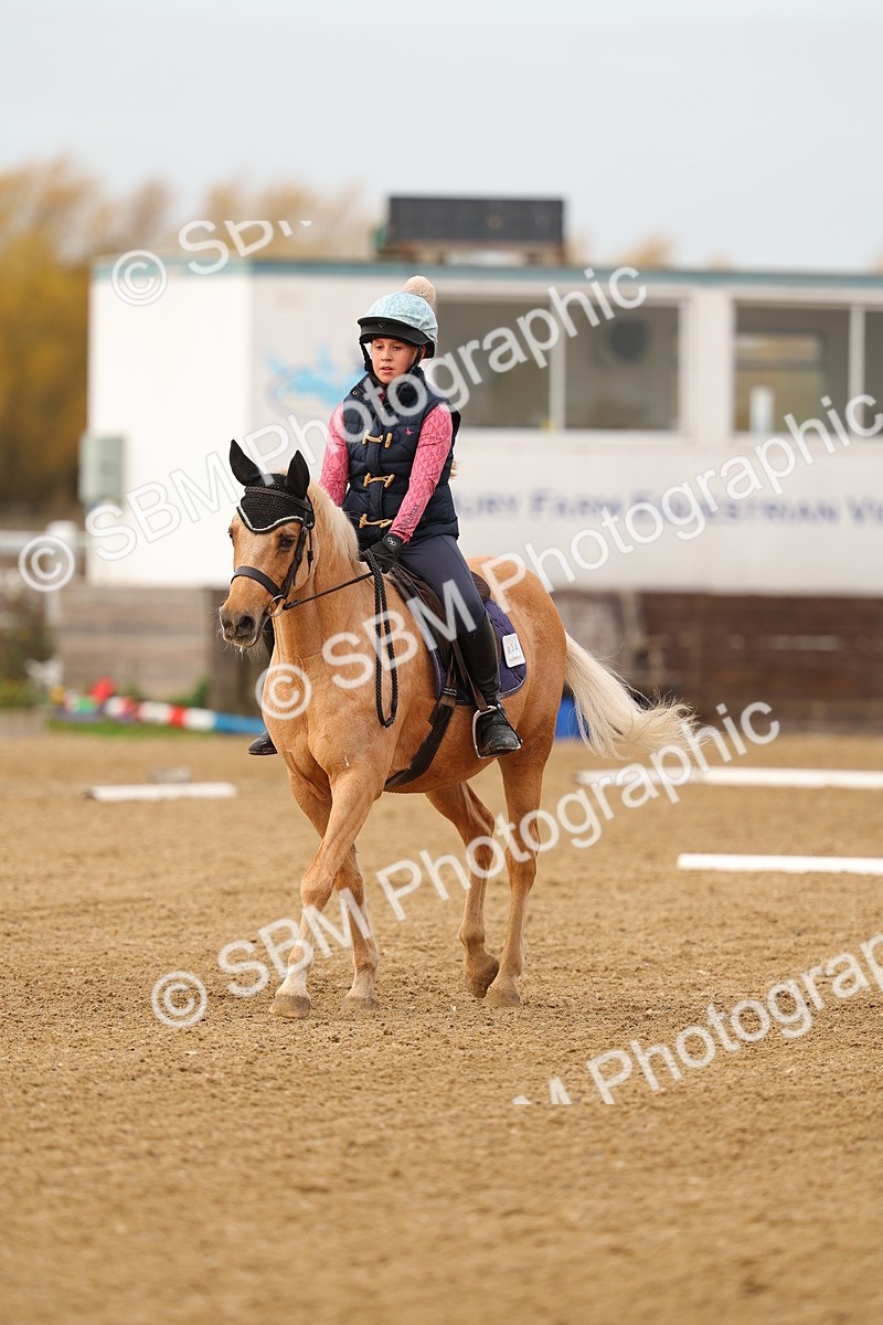 SBM_000227 - Class 2-11 - CT Intro 3 60cm - DR Intro 3