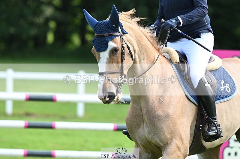 250615A-090448-09355 - Cls 35 Foxhunter