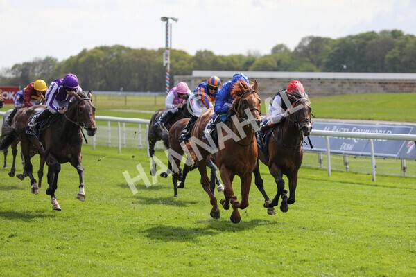 yr13052021r4-43 - Race 4 3.10pm Al Basti Equiworld Dubai Dante Stakes