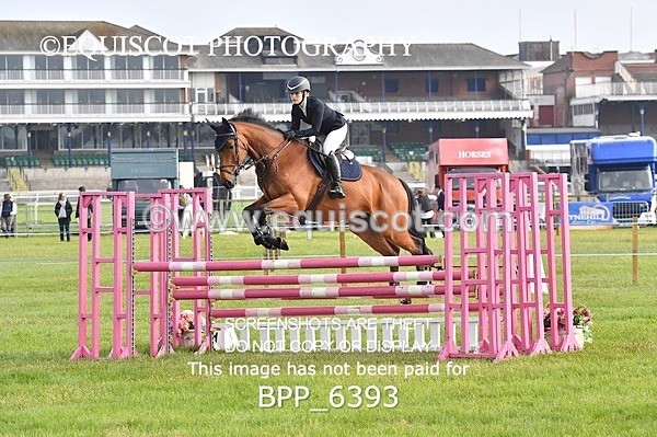 BPP_6393 - CLASS 1 Senior Newcomers/ 1.10m Open