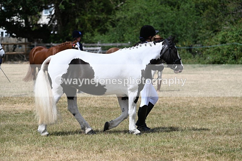 WJ7_1722 - Class 4 Prettiest Mare up to 14.2hh in hand