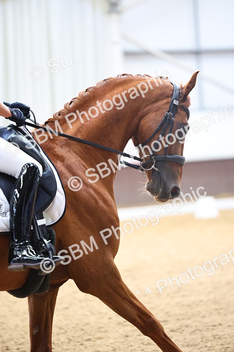 SBM_021875 - Class 14 - N6