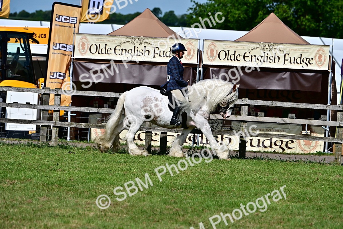 SBM_09384 - Class 63-65 - Traditional Gypsy Cobs In Hand & Ridden