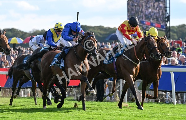 220825-272 Fifth Column - Race 7 5.20pm Sky Bet Mile Handicap
