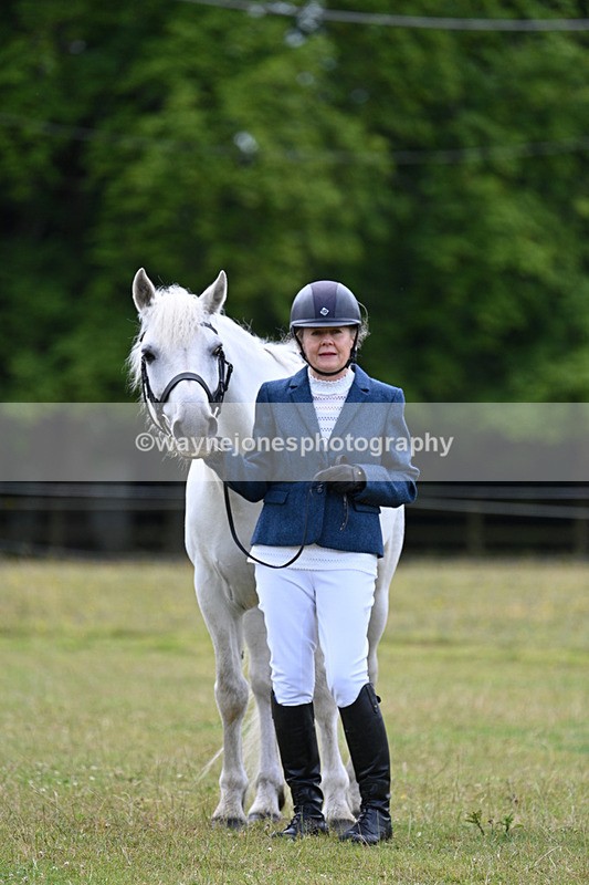 WJ7_7073 - Class 5a Most Handsome Gelding in Hand