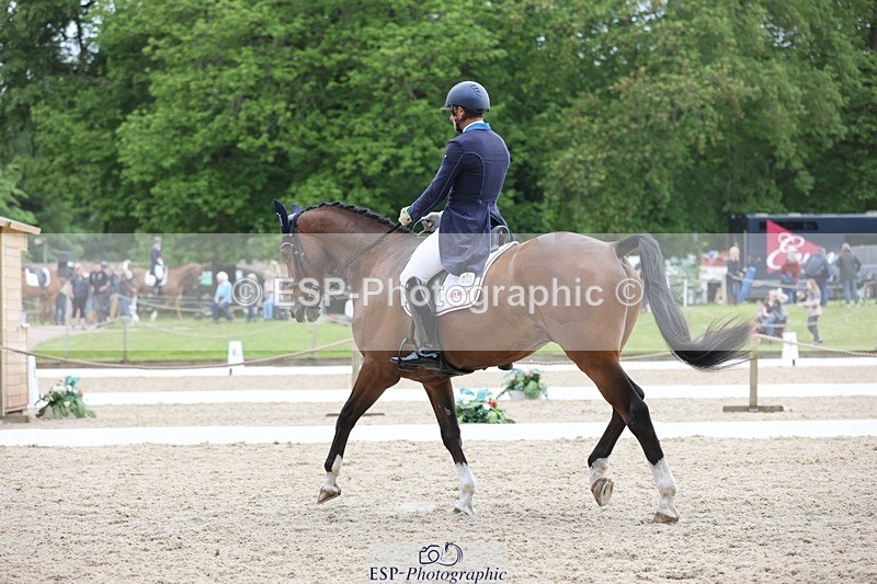 240524-124827-08653 - 352-SHANNONDALE_ALDO-Alexander_Bragg