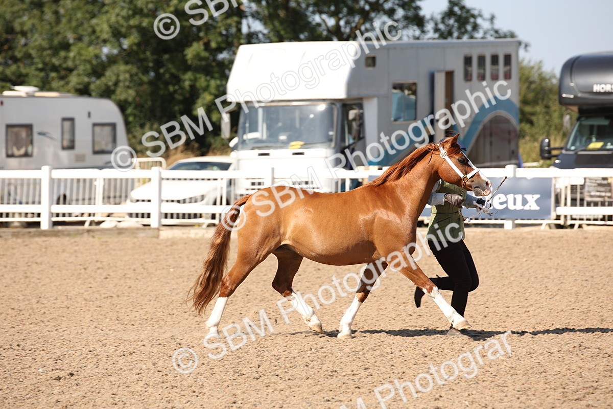 SBM_02696 - Class 16 IH M&M Wildcard