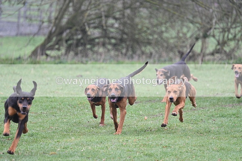 WJ7_0048 - Line 1 cam A