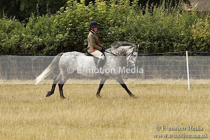 _BS_0588 - BVRC Show 2018 Ring 3