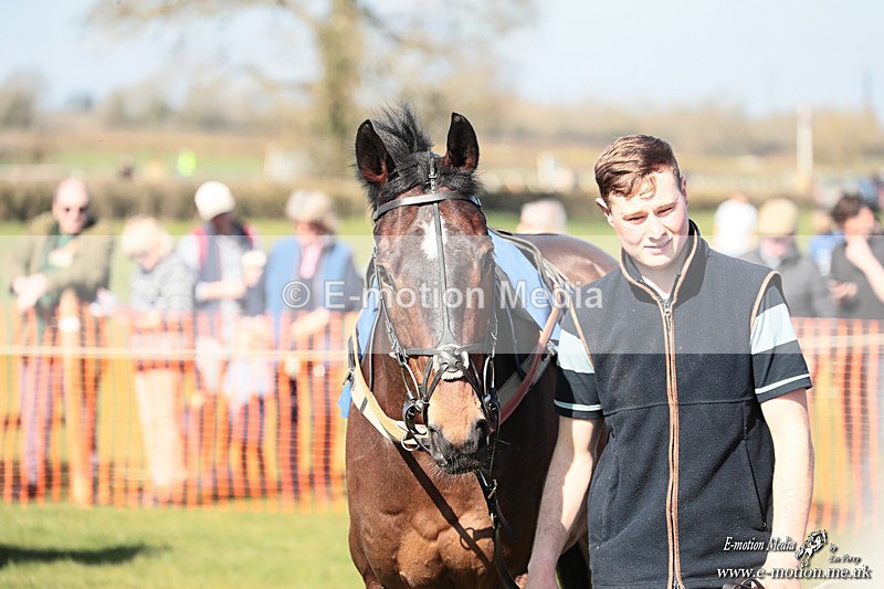 PtP 210326 03 - VWH Cirencester Races 21/03/26