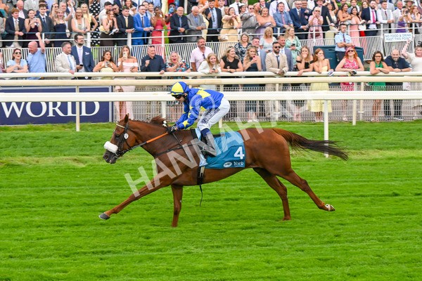 250725-Race 2-Rock N Roll Pinkie-5495 - Race 2 6.03pm Elevator Company Handicap