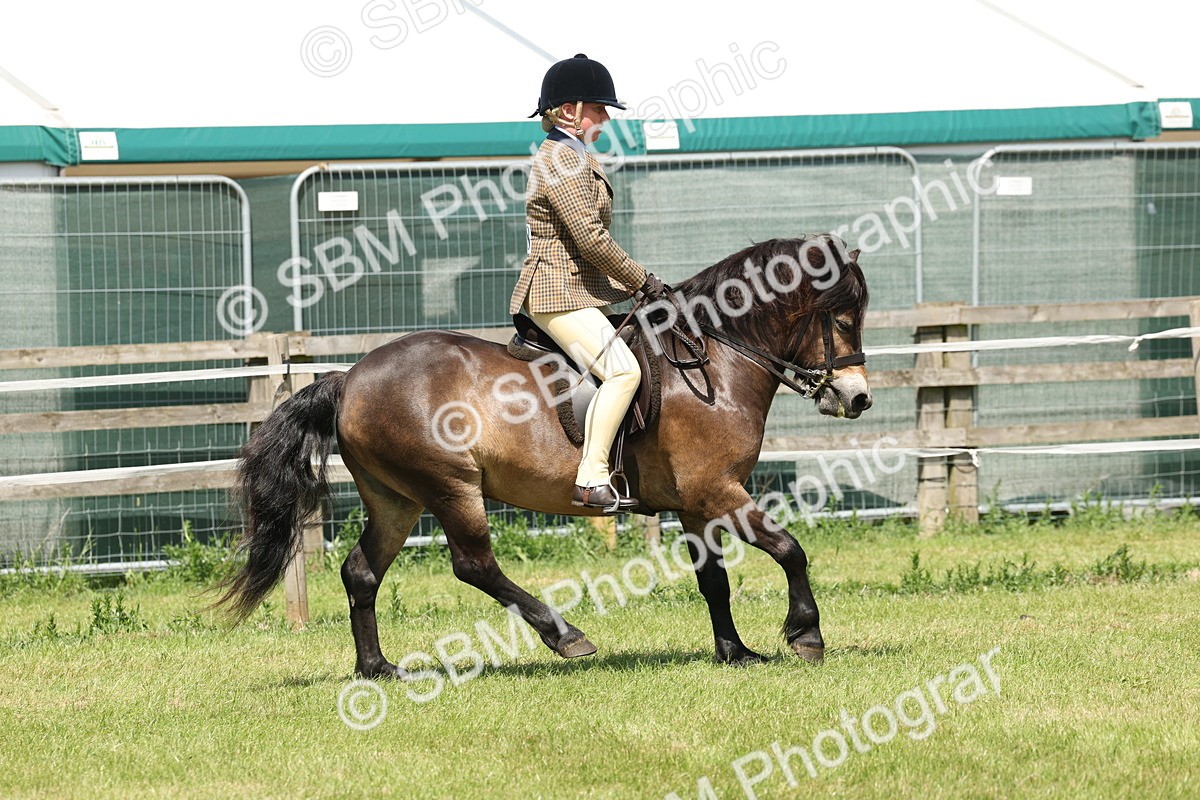SBM_06817 - Class 26-30 - Mountain and Moorland Ridden