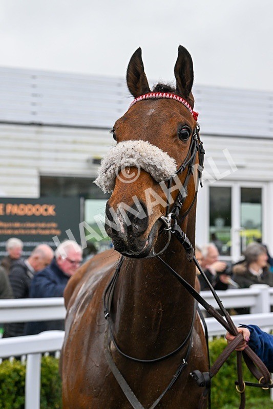  - Race 1