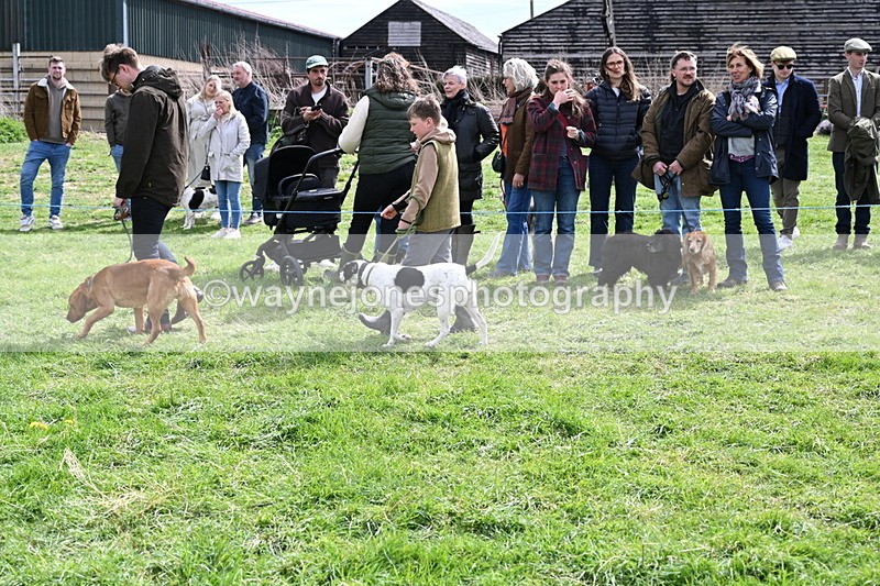 WJ6_8239 - Class 4 Prettiest Bitch