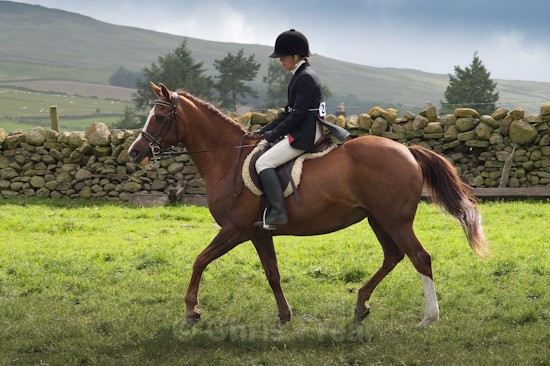 moniaive09-20 - Moniaive Horse Show 2009