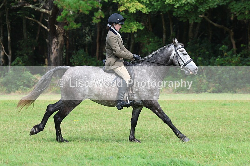 3E7A5995 - Class 28: 75cm Working Hunter