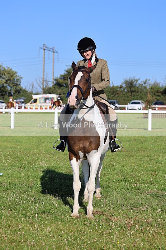 IMG_1343 - Class 27: Ridden Plaited Coloured Horse